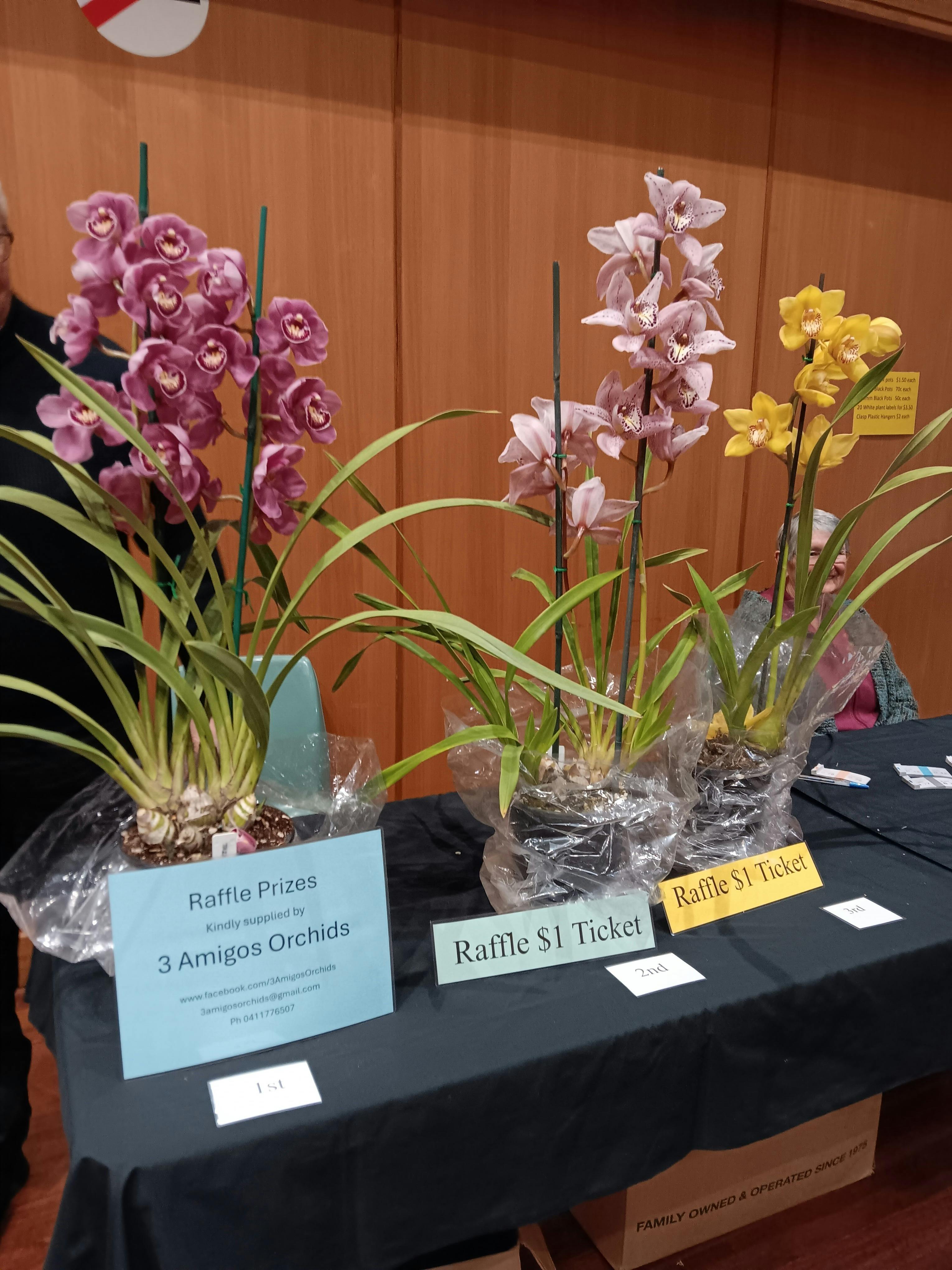 Annual Orchid Spectacular