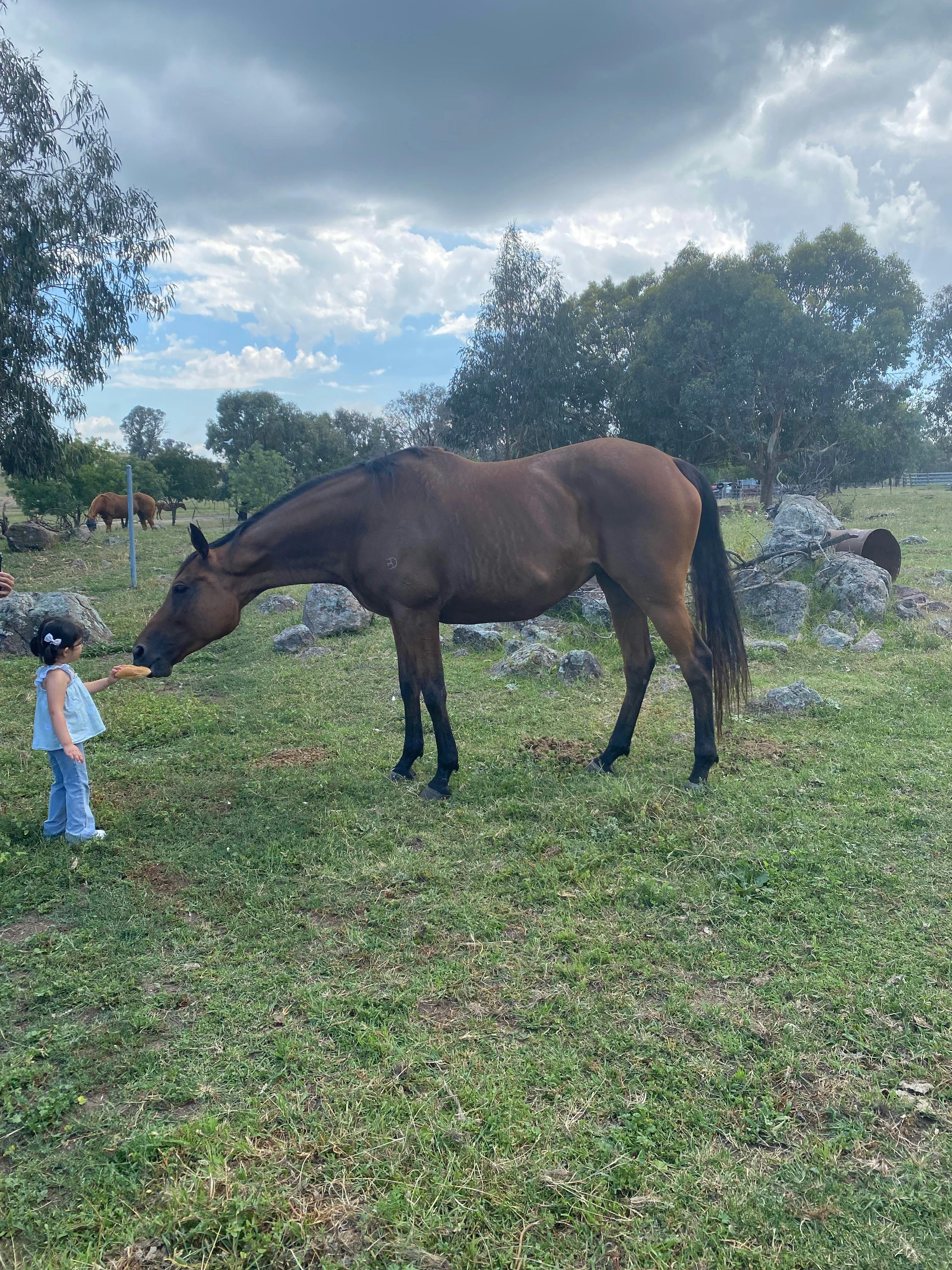 Babylon Farm