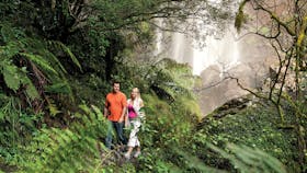 Queen Mary Falls, Main Range National Park