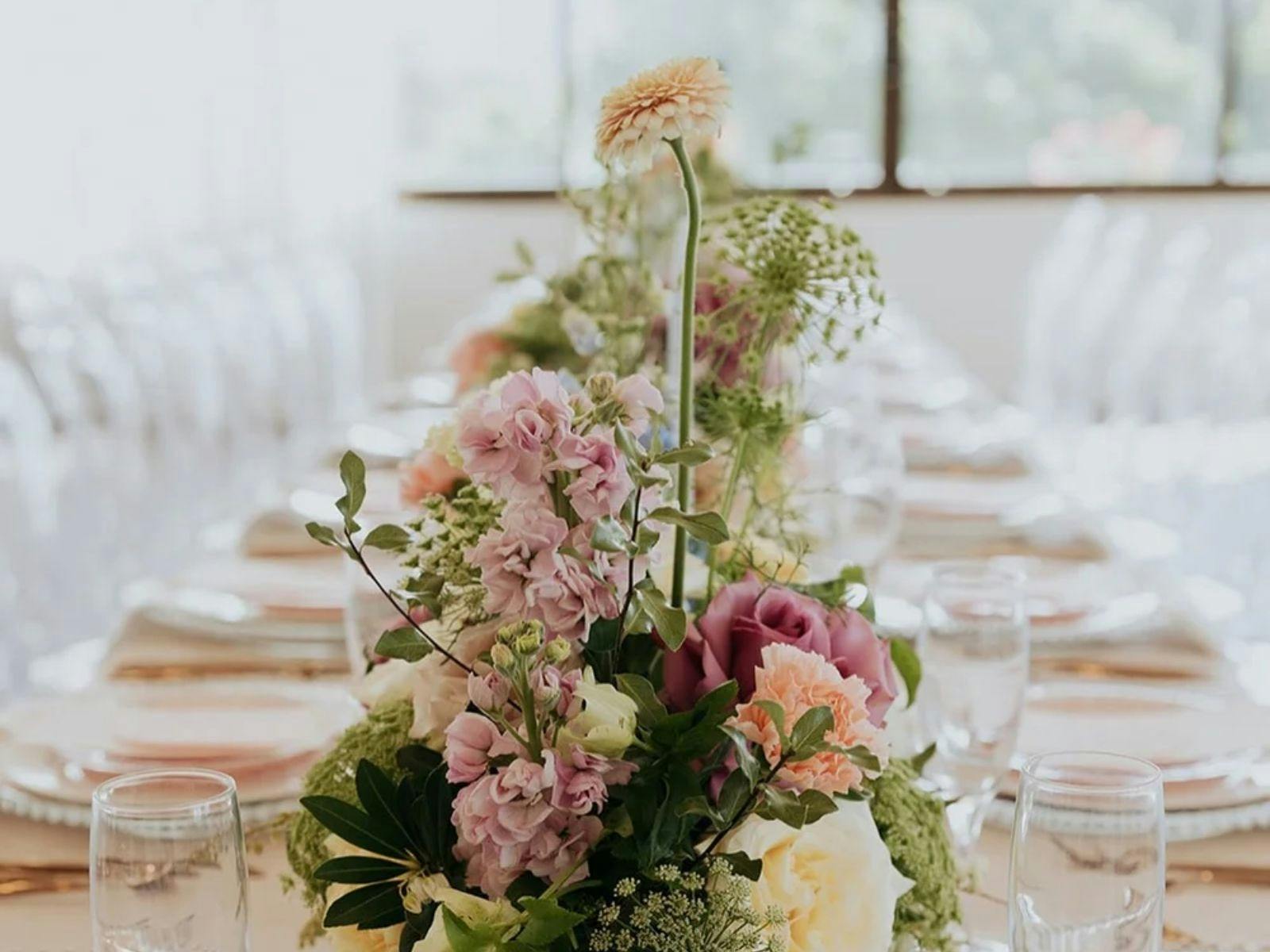 Gold Coast Pop Up Weddings