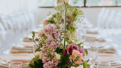 Gold Coast Pop Up Weddings