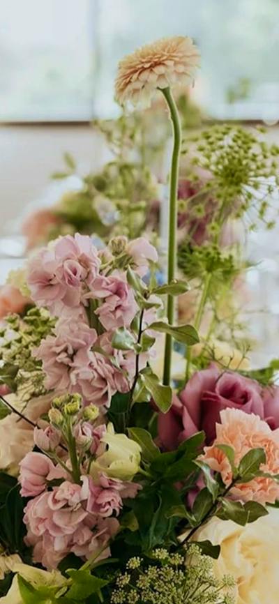 Gold Coast Pop Up Weddings