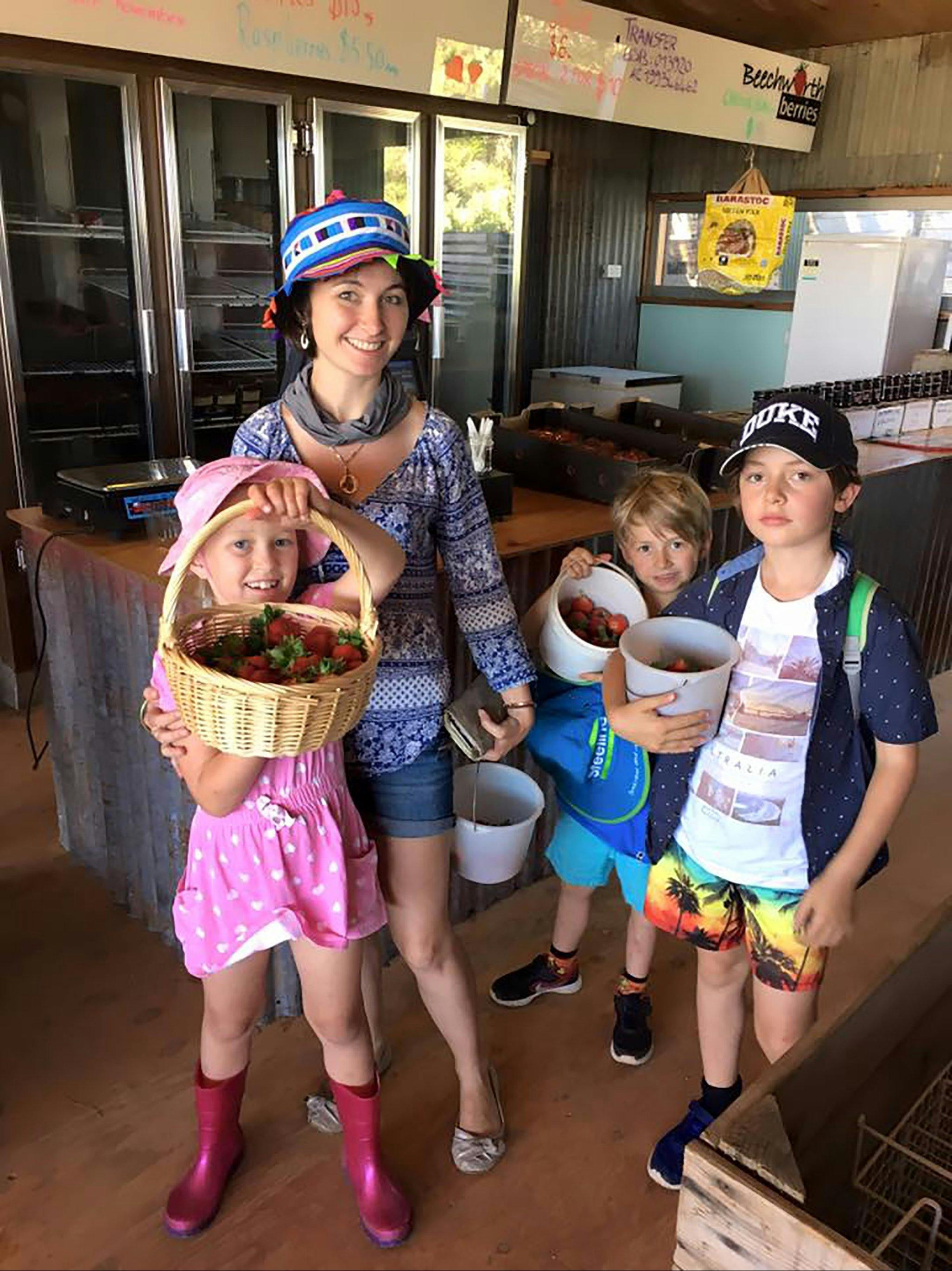 A family of U-pickers holding buckets full of strawberries