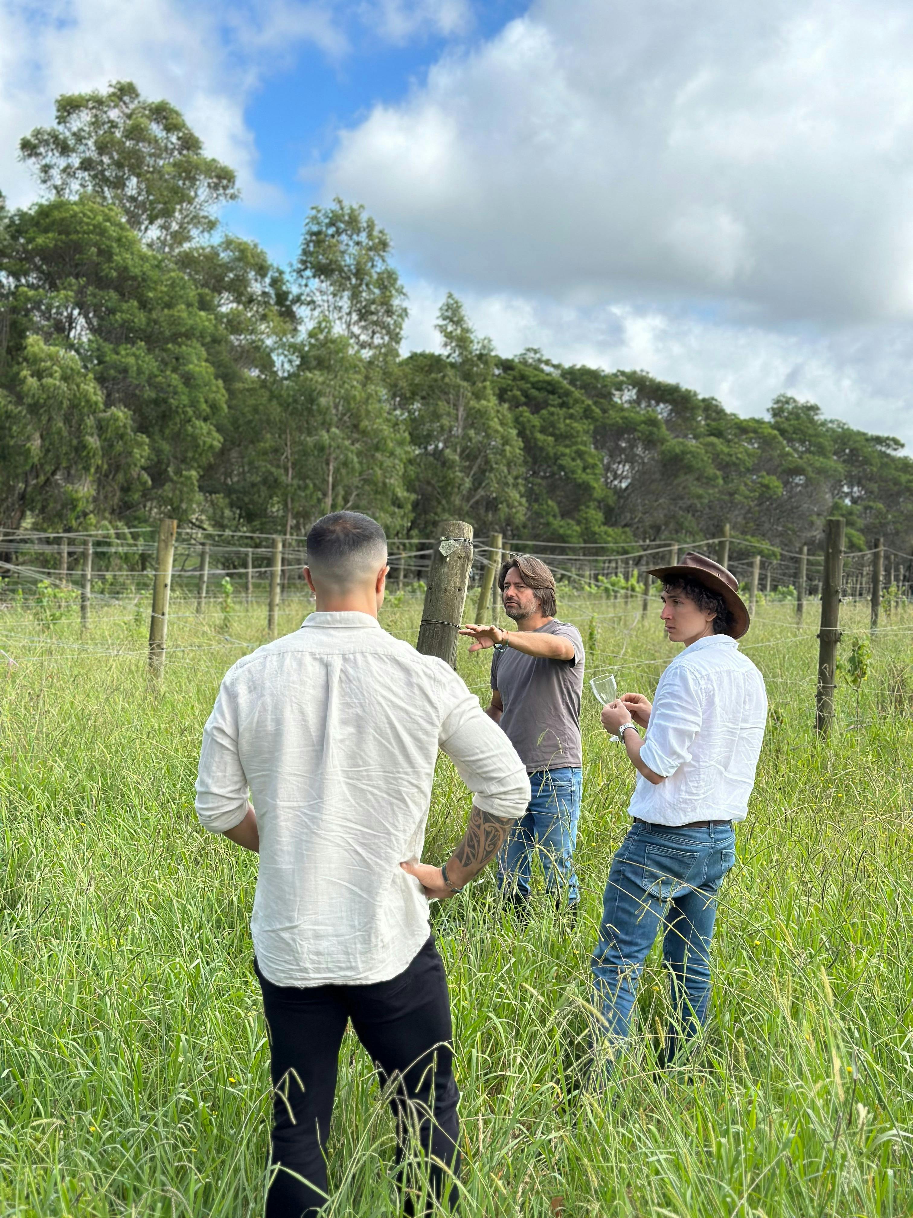 Sustainable vineyard experience