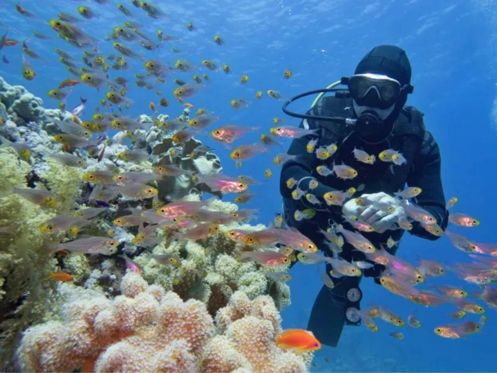 Explore the reef with guides who know it best