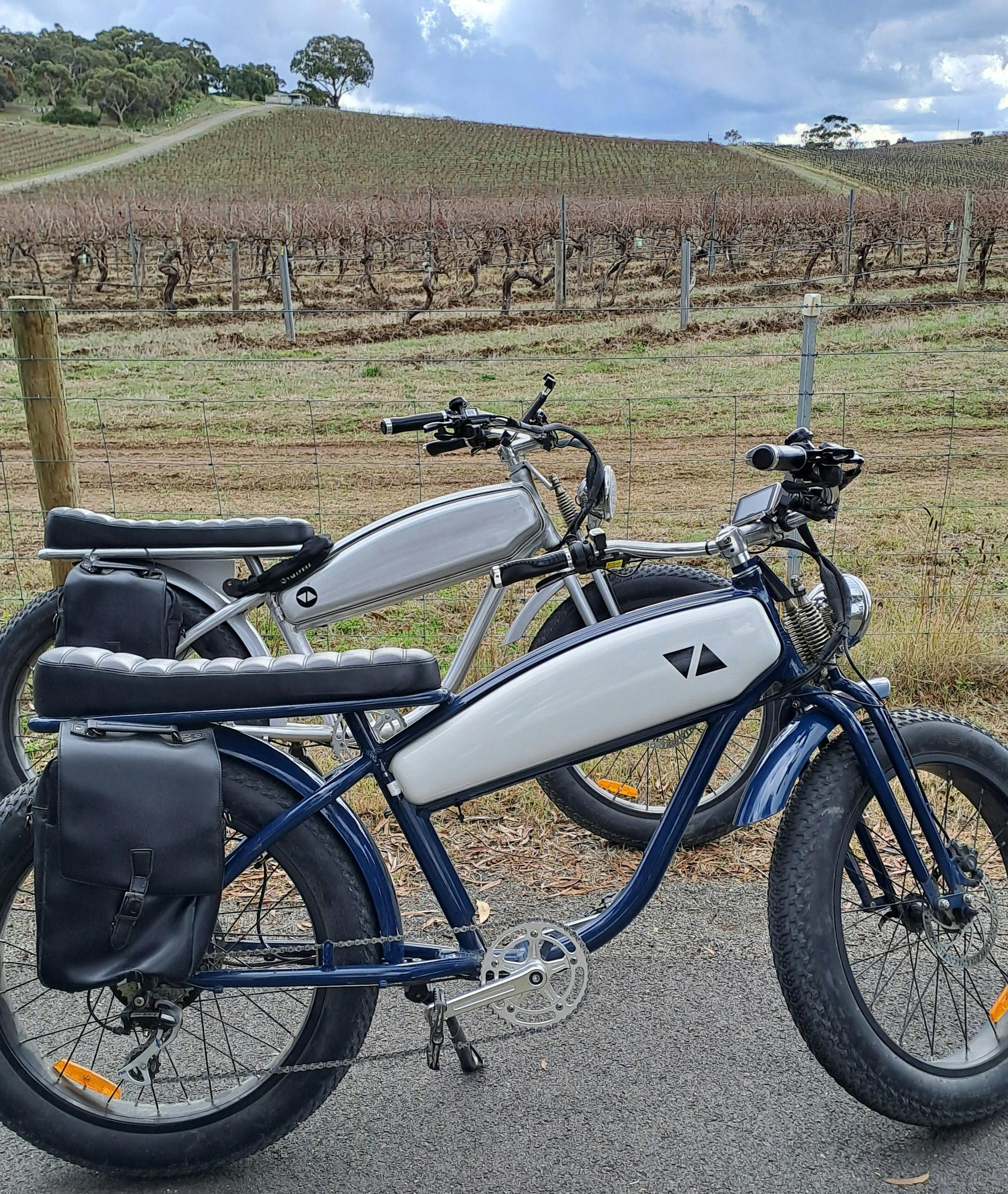 Some of our ebikes