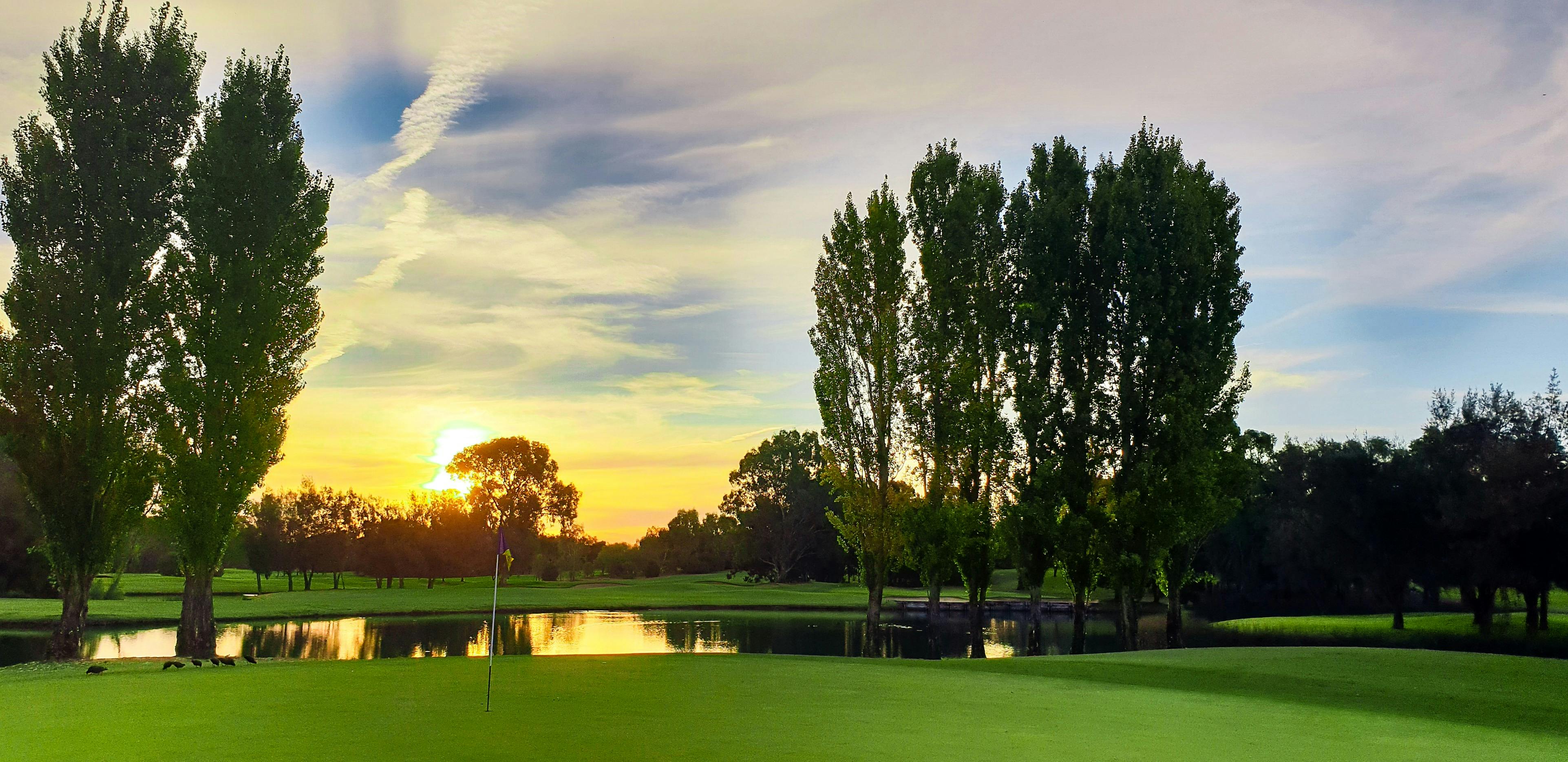 NSW Open Golf Championship