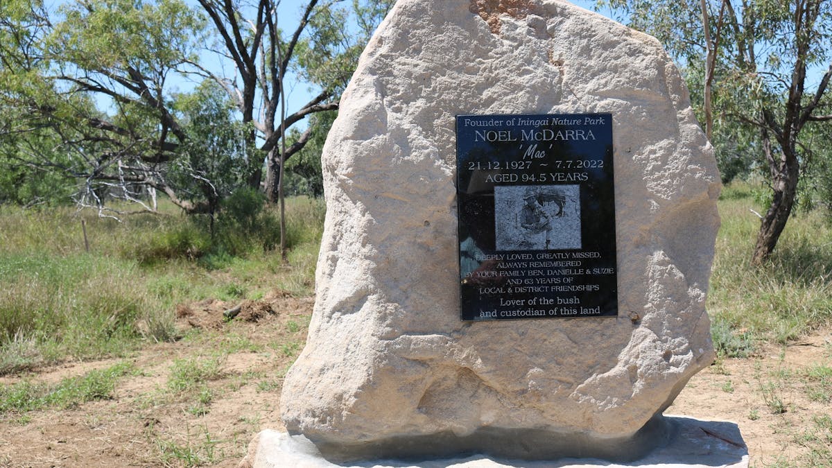 Memorial Plague to Noel McDarra Memorial Plague to Noel McDarra