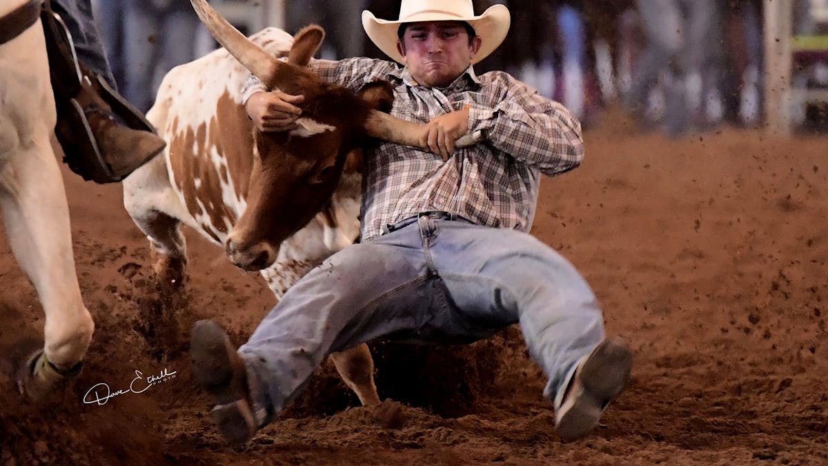 Cowboy at Nebo Rodeo