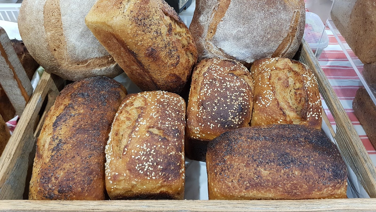 Sample of the freshly baked sourdough and rye breads from Small Grains Bakery