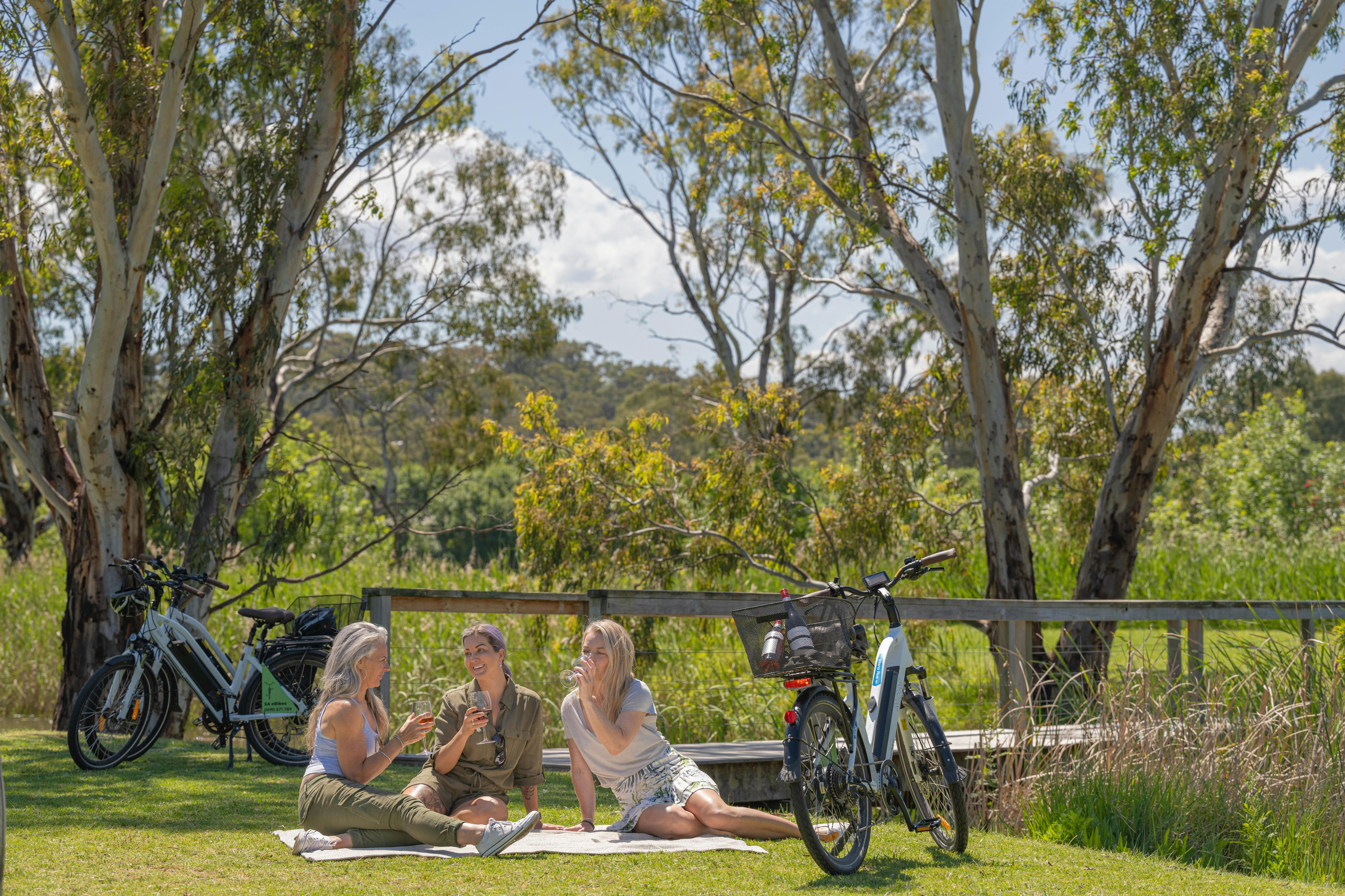 Friends at picnic