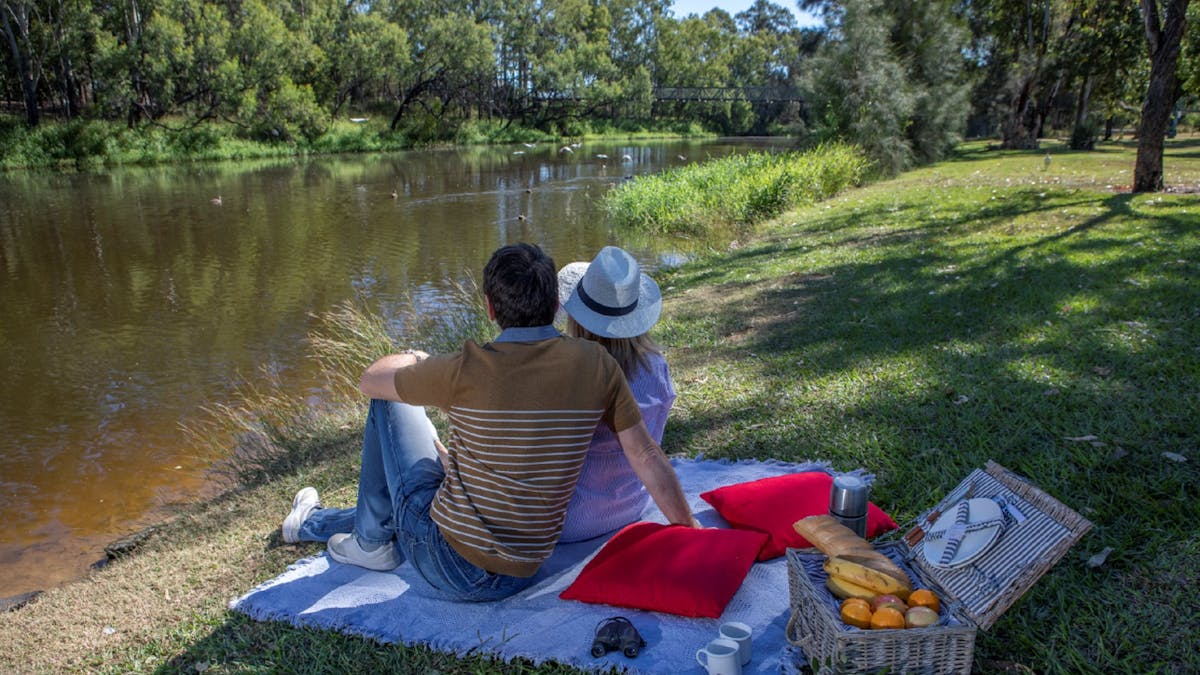 Picnic Perfect
