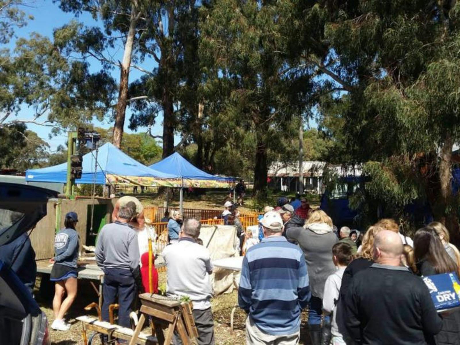 Fun Farm 2U and Shearing demonstration