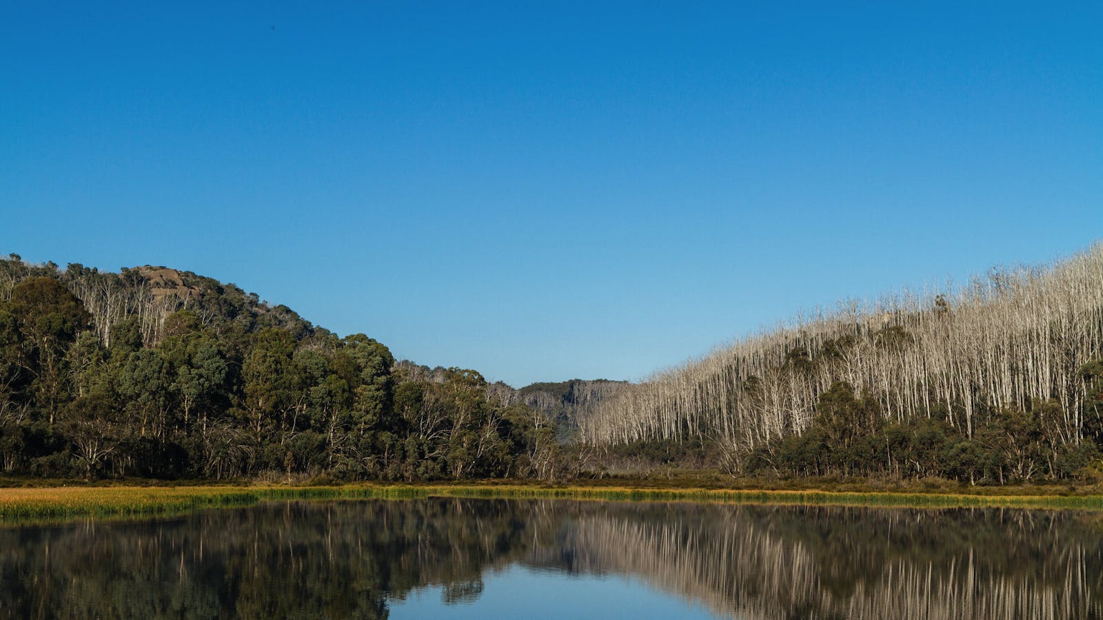 Lake Catani Mount Buffalo
