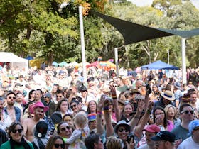 View of crowd from outdoor stage at ChillOut Festival Carnival Day