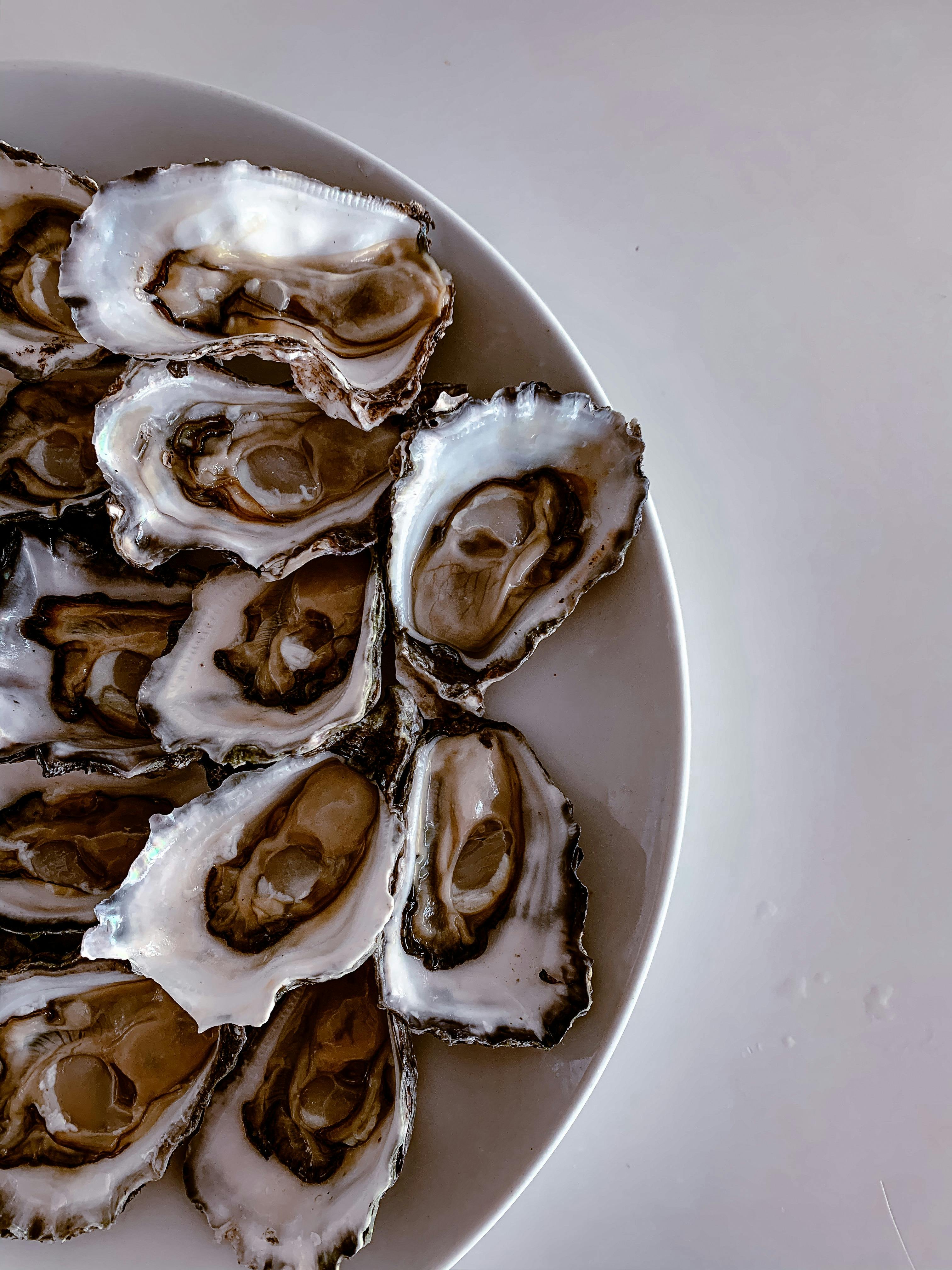 Sydney Rock Oysters