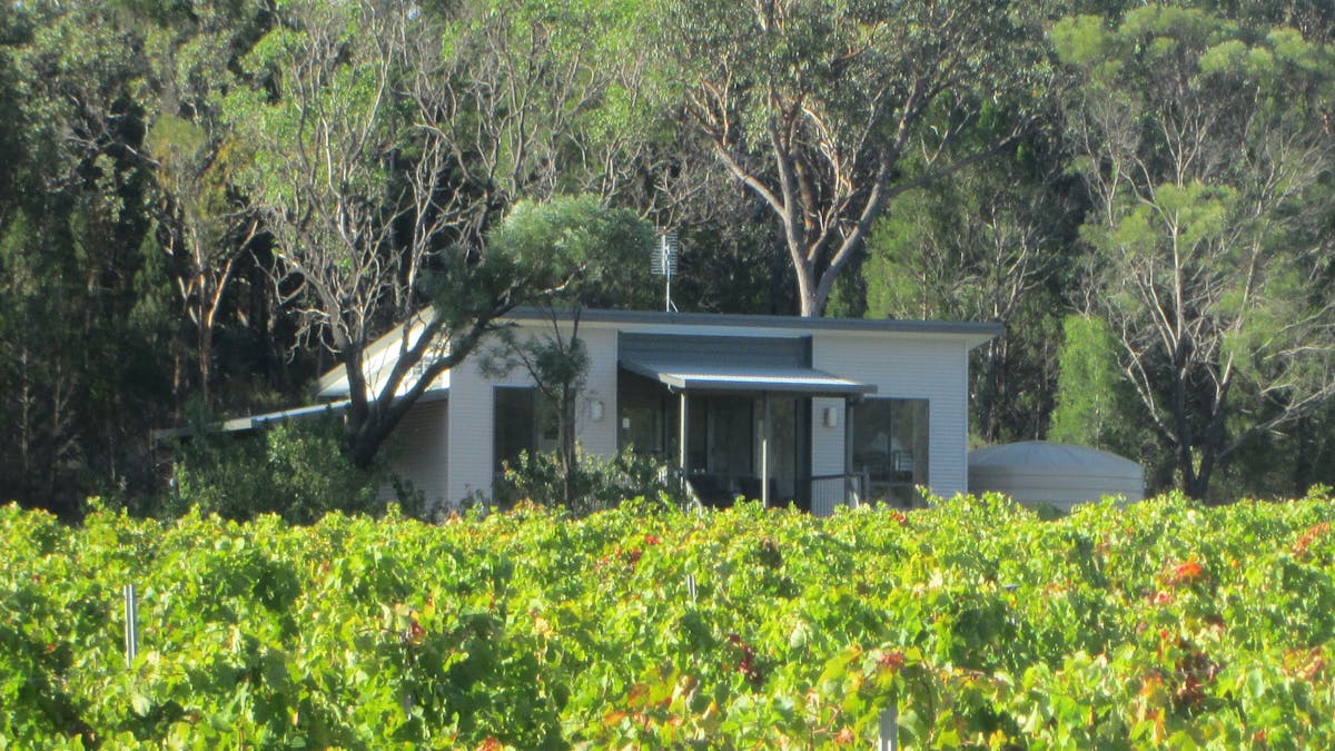 Cabin in vineyard