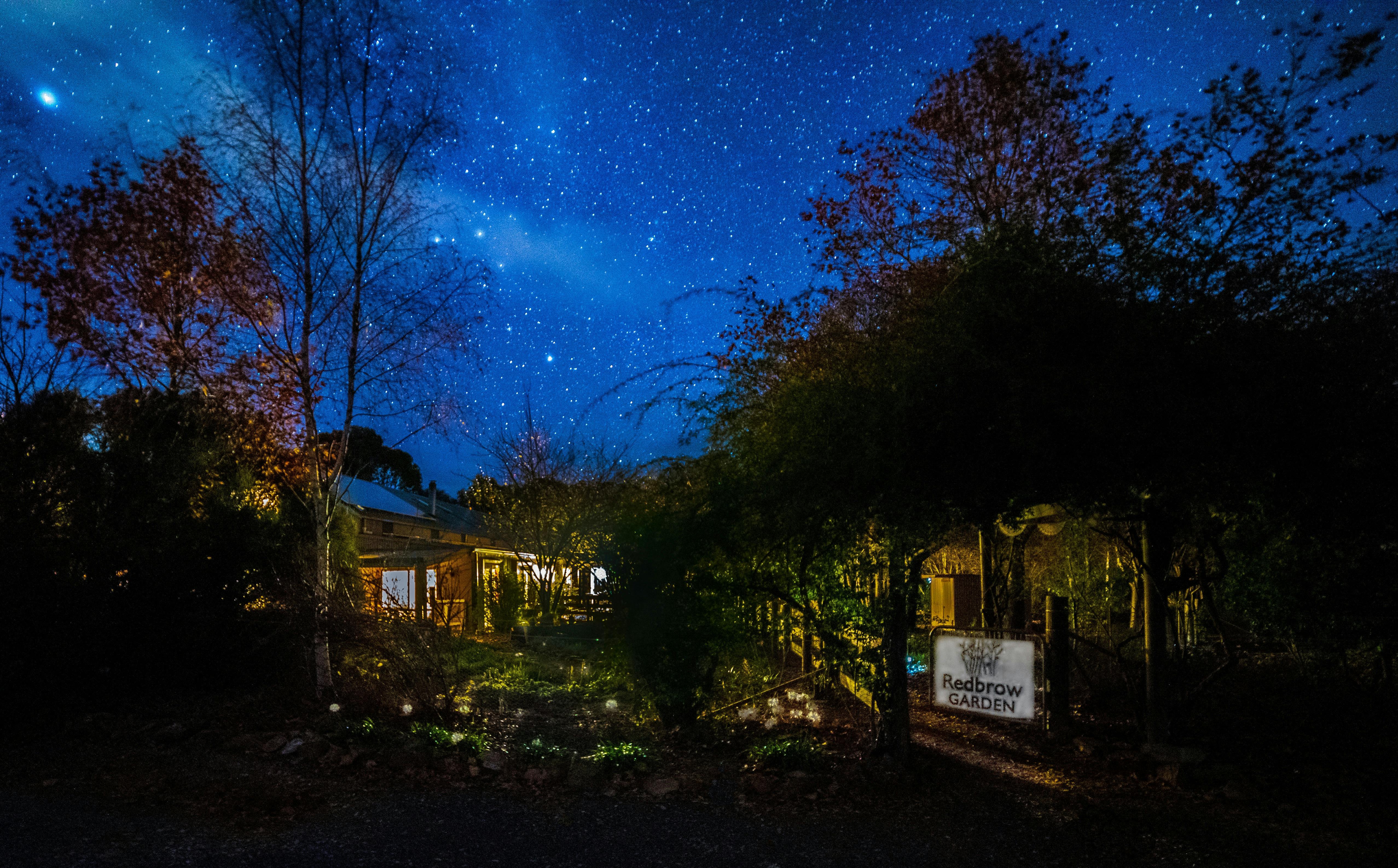 Redbrow Garden Guesthouse night view