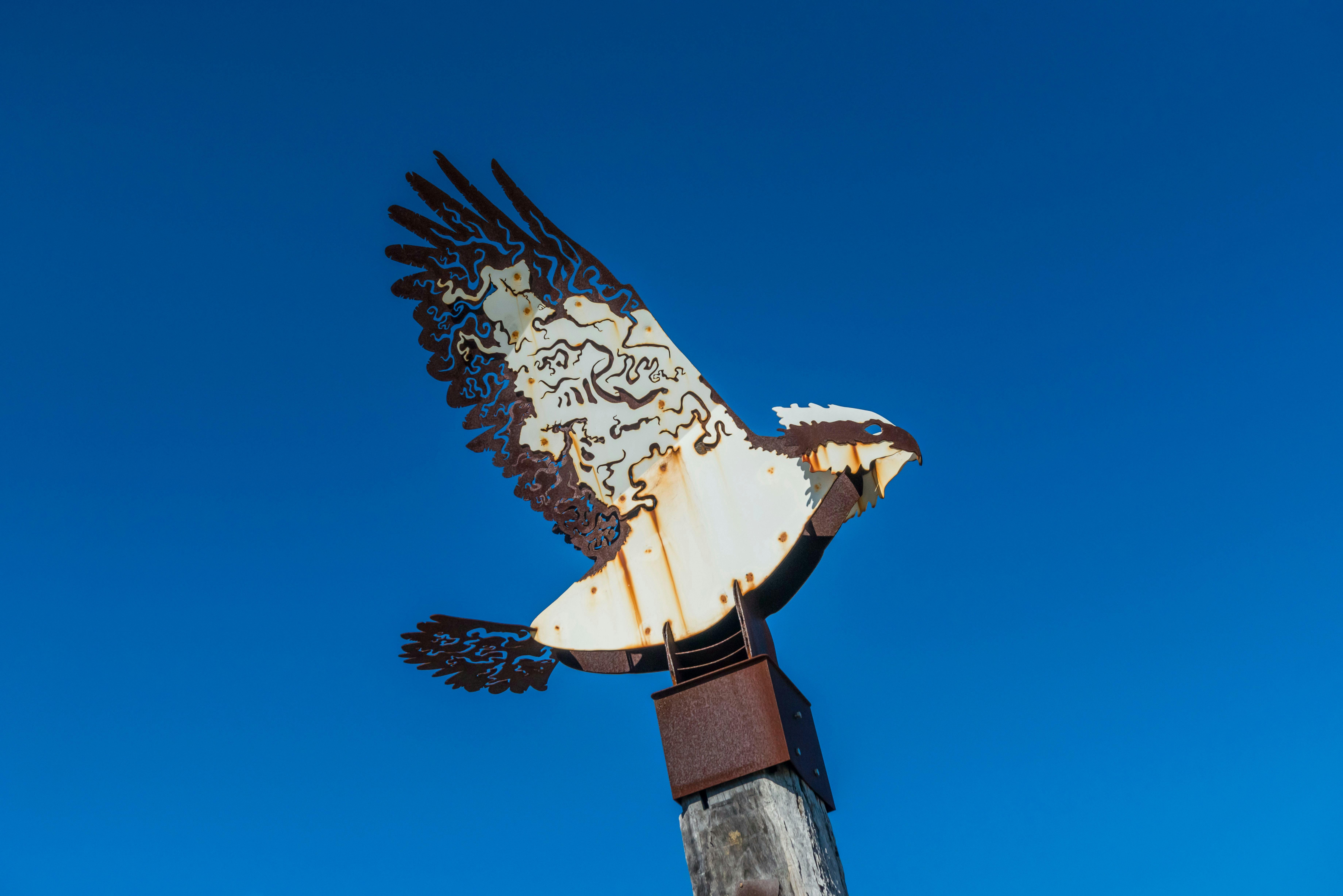 osprey sculpture