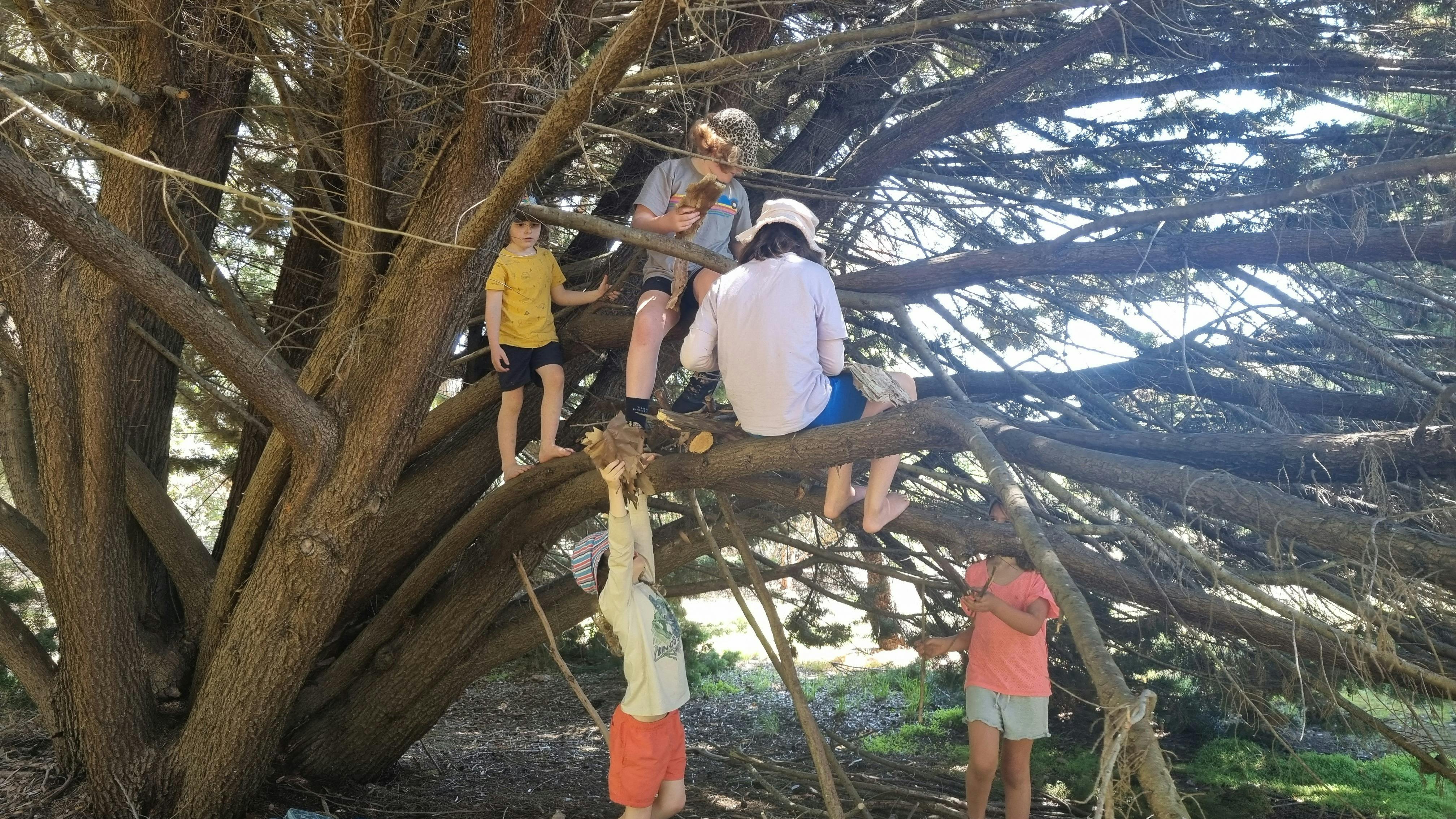 Family Wilderness Hike Manjimup