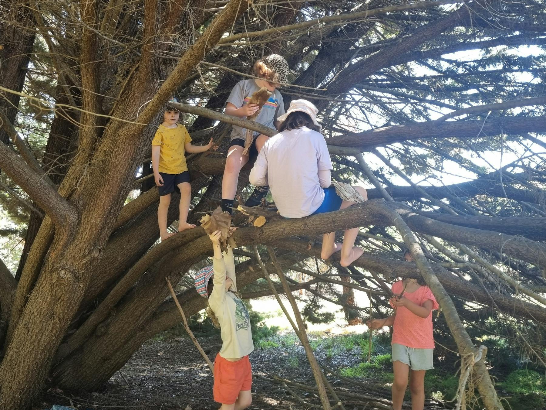 Family Wilderness Hike Manjimup