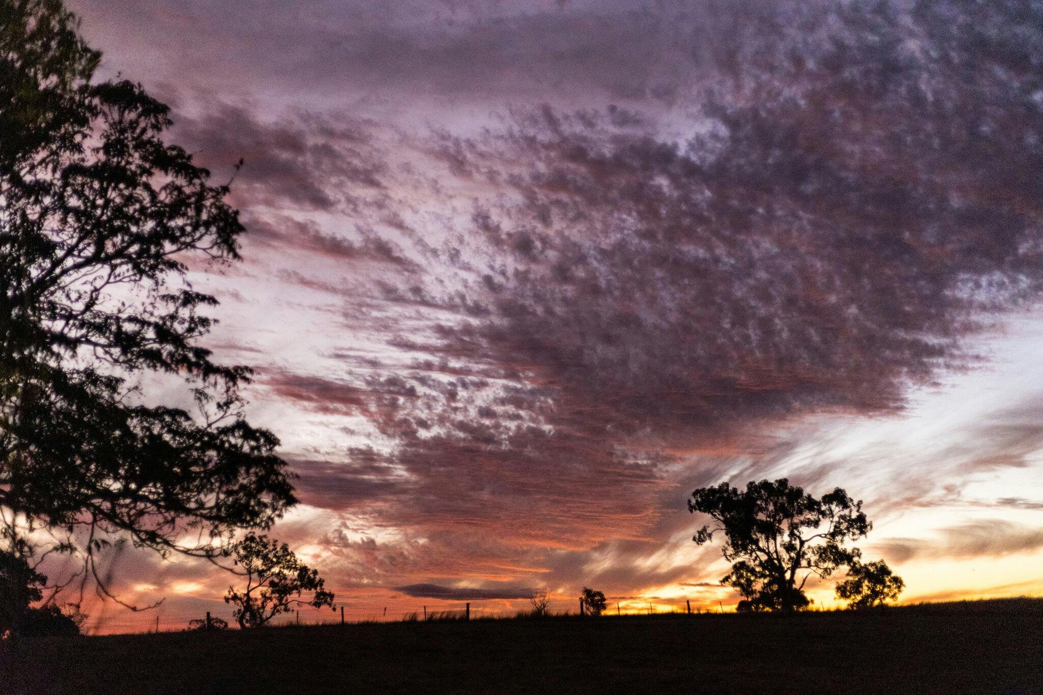 Our beautiful evening skies