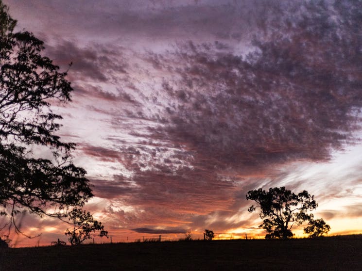 Our beautiful evening skies