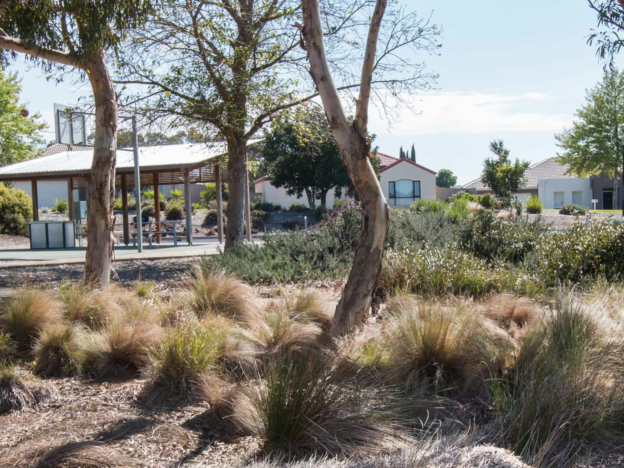 Parkview Reserve