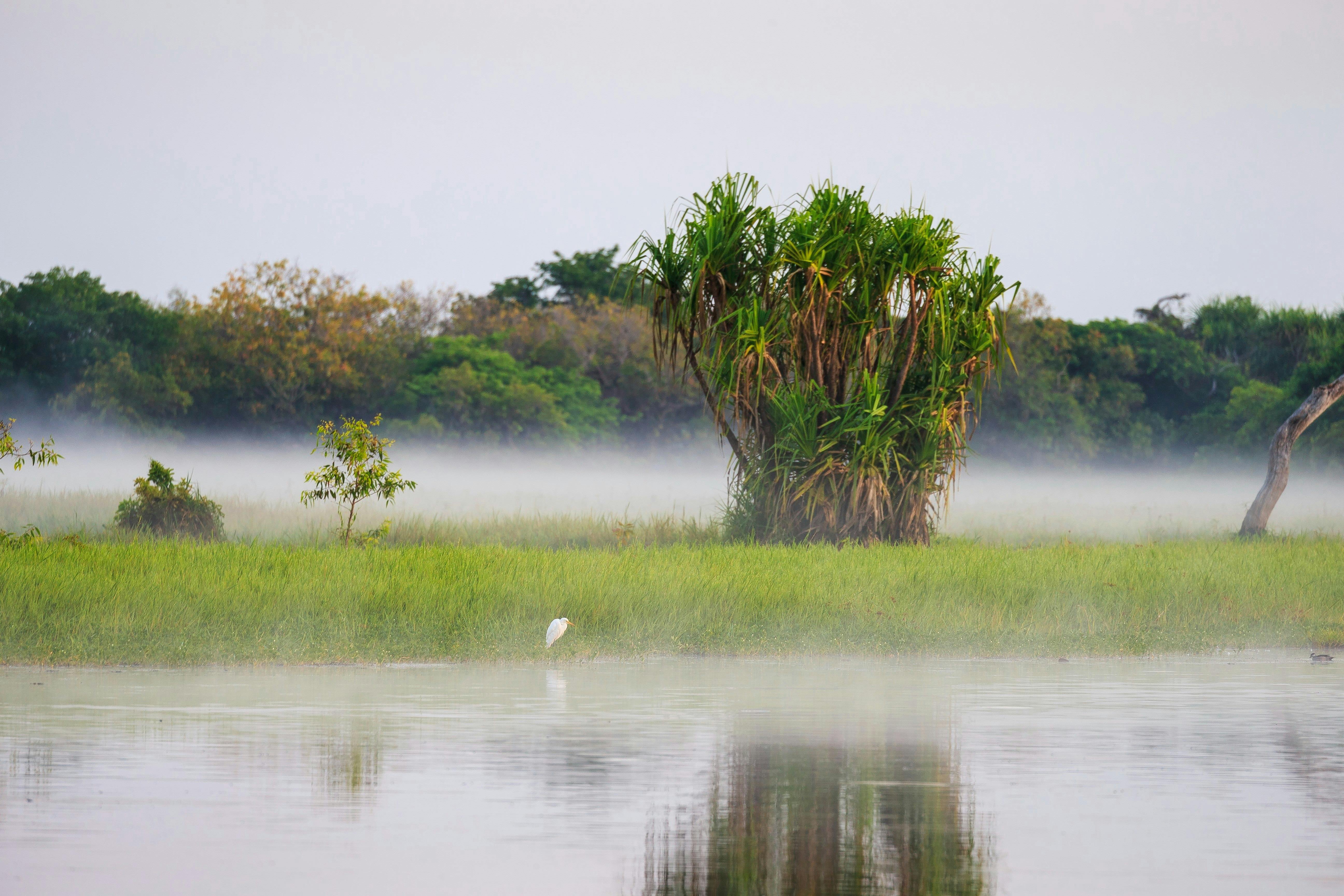 6 Day Darwin, Kakadu & Litchfield During "The Wet"
