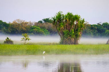 6 Day Darwin, Kakadu & Litchfield During "The Wet"