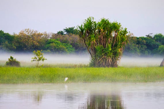 6 Day Darwin, Kakadu & Litchfield During "The Wet"