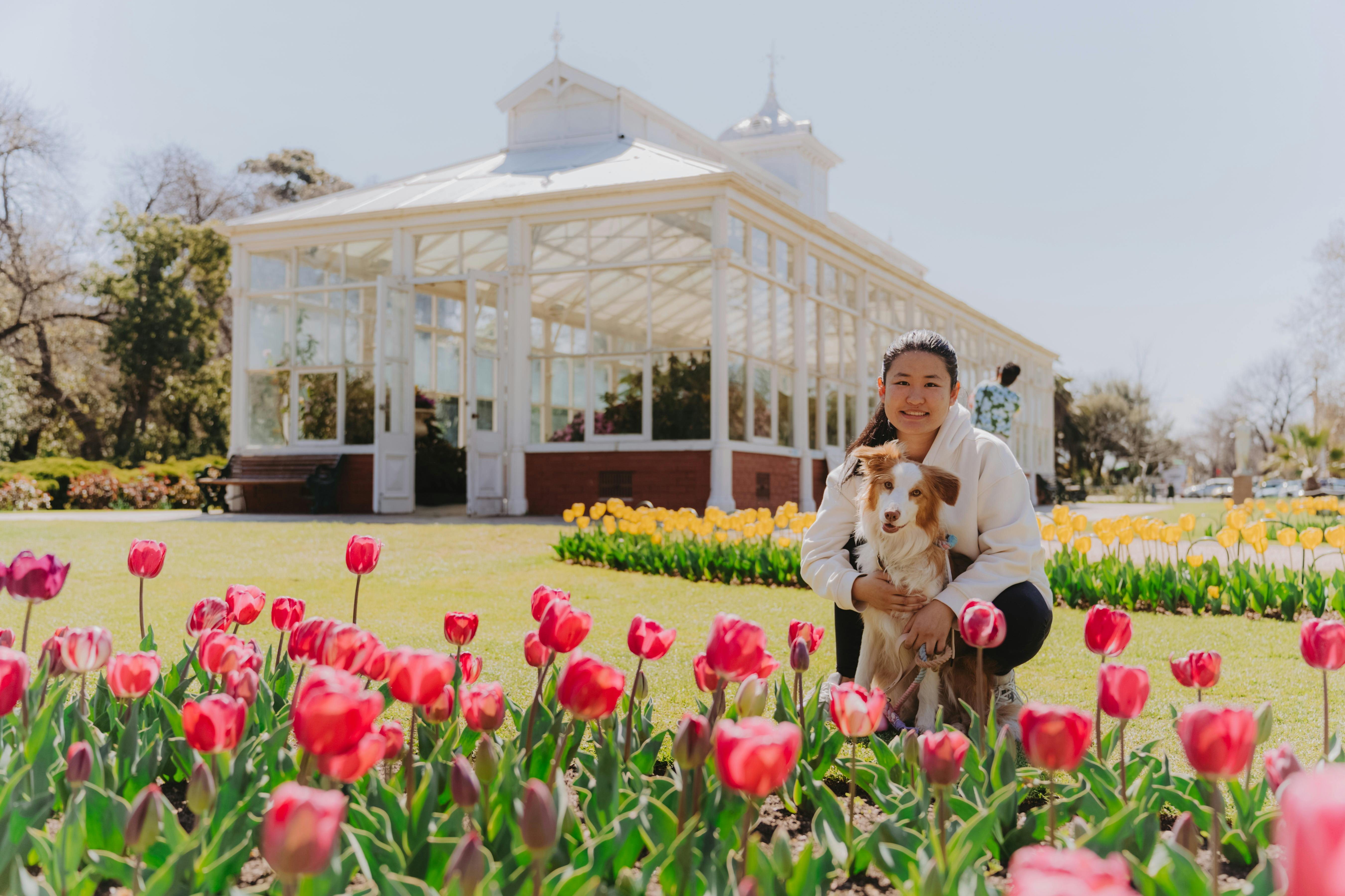 A woman posing next to a dog, in front of the Bendigo Conservatory Gardens and tulips