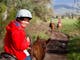 Day Ride in the Kiewa Valley