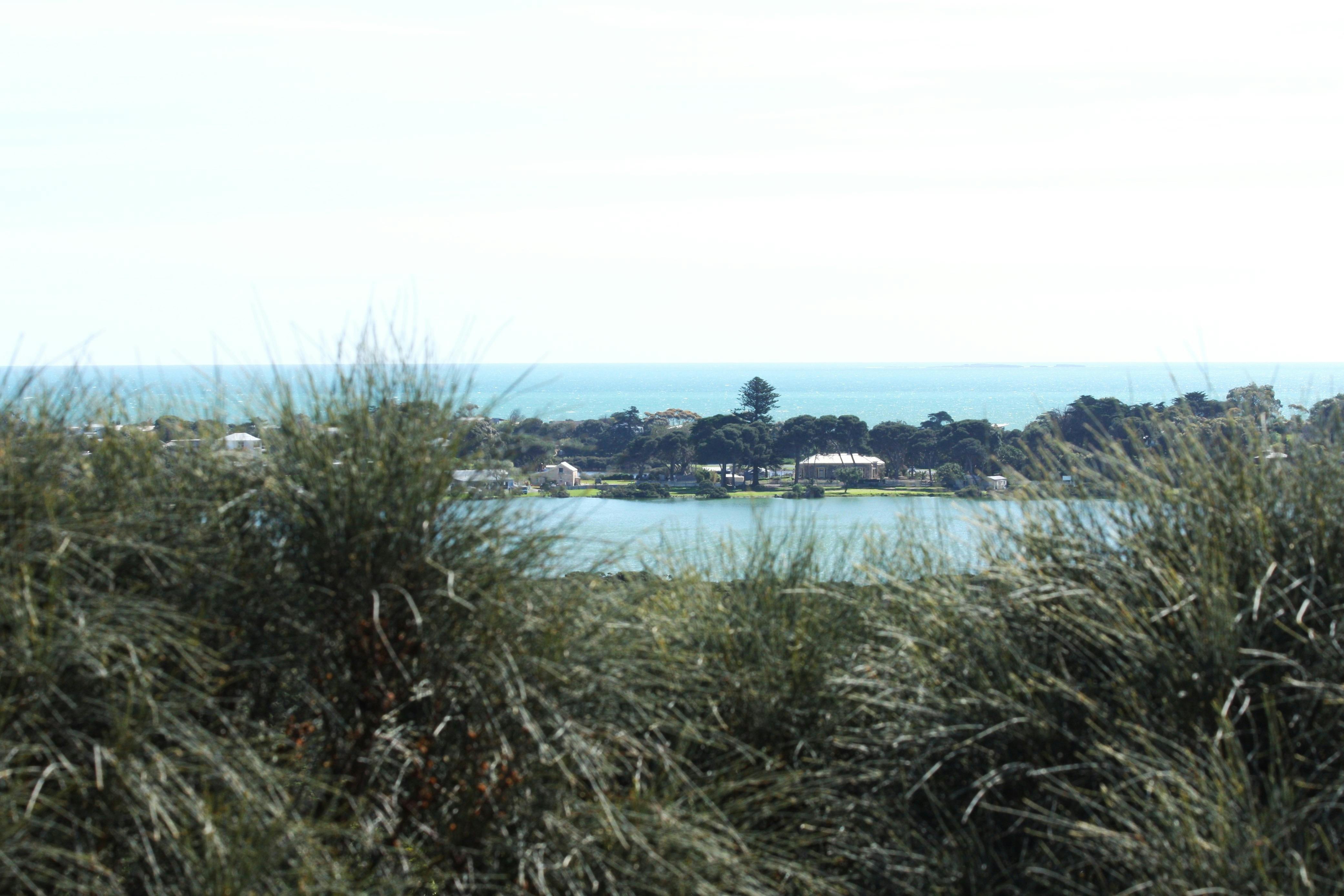 View of Lake Fellmongery
