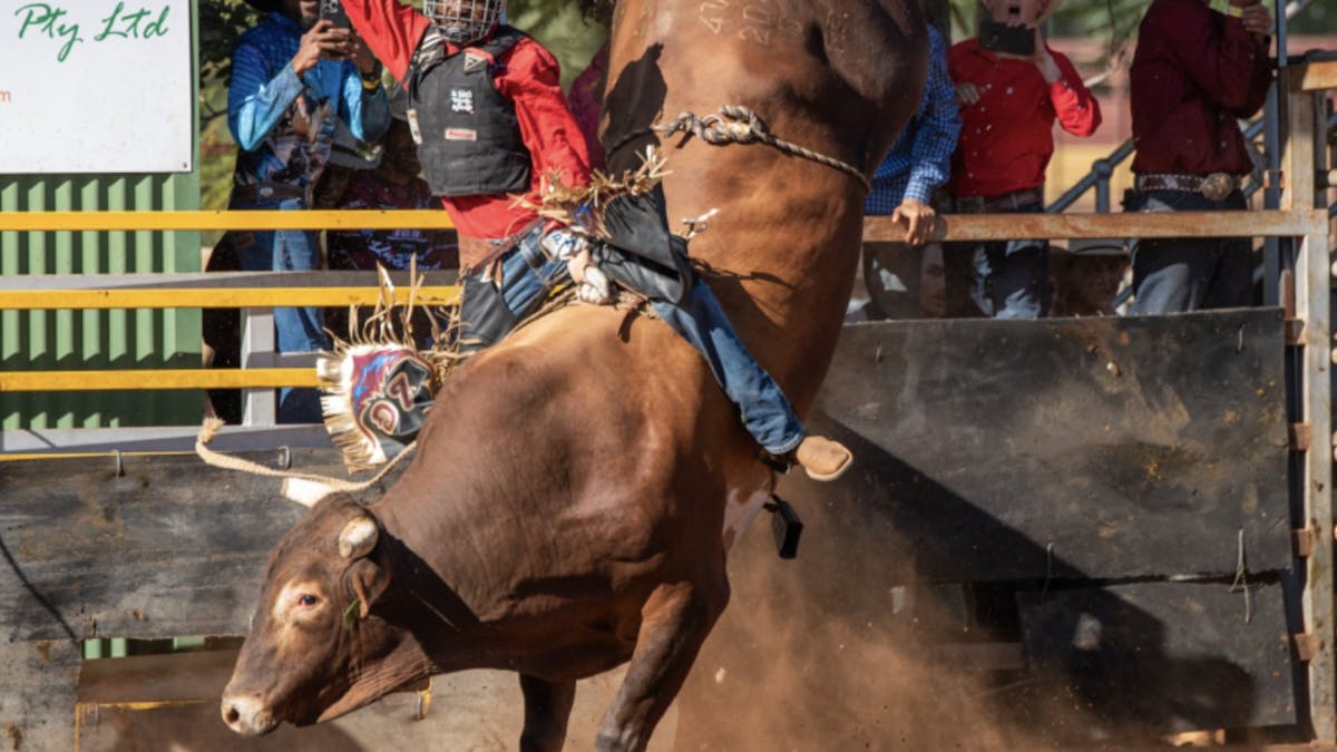 A brown bull bucks with a man on its back at the Chillagoe Rodeo in Chillagoe, Far North Qld.