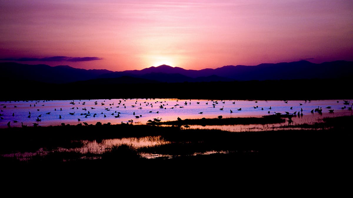 Pink and orange skies are reflected in lagoons at sunset.