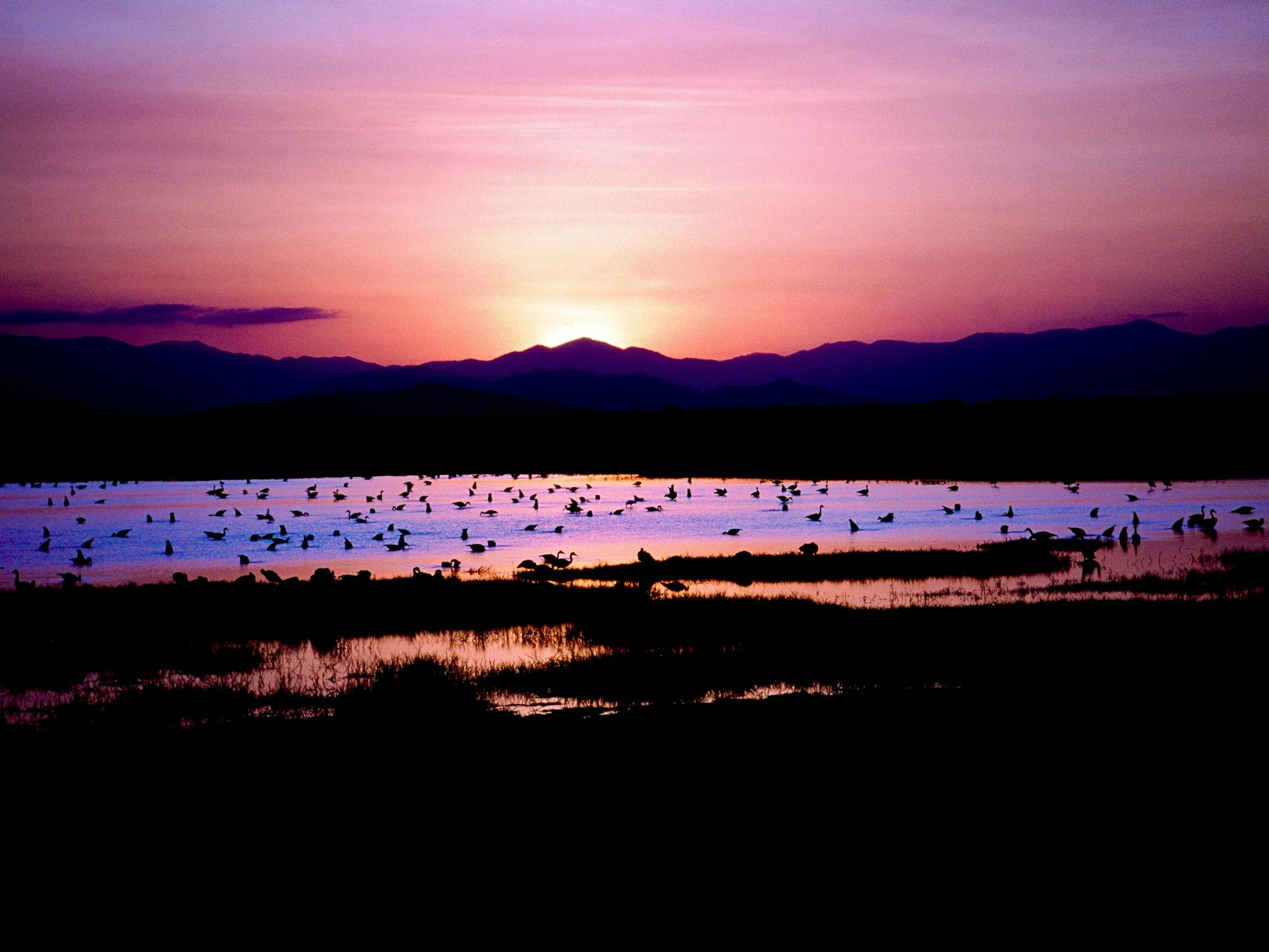 Pink and orange skies are reflected in lagoons at sunset.