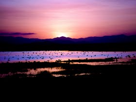 Townsville Town Common Conservation Park