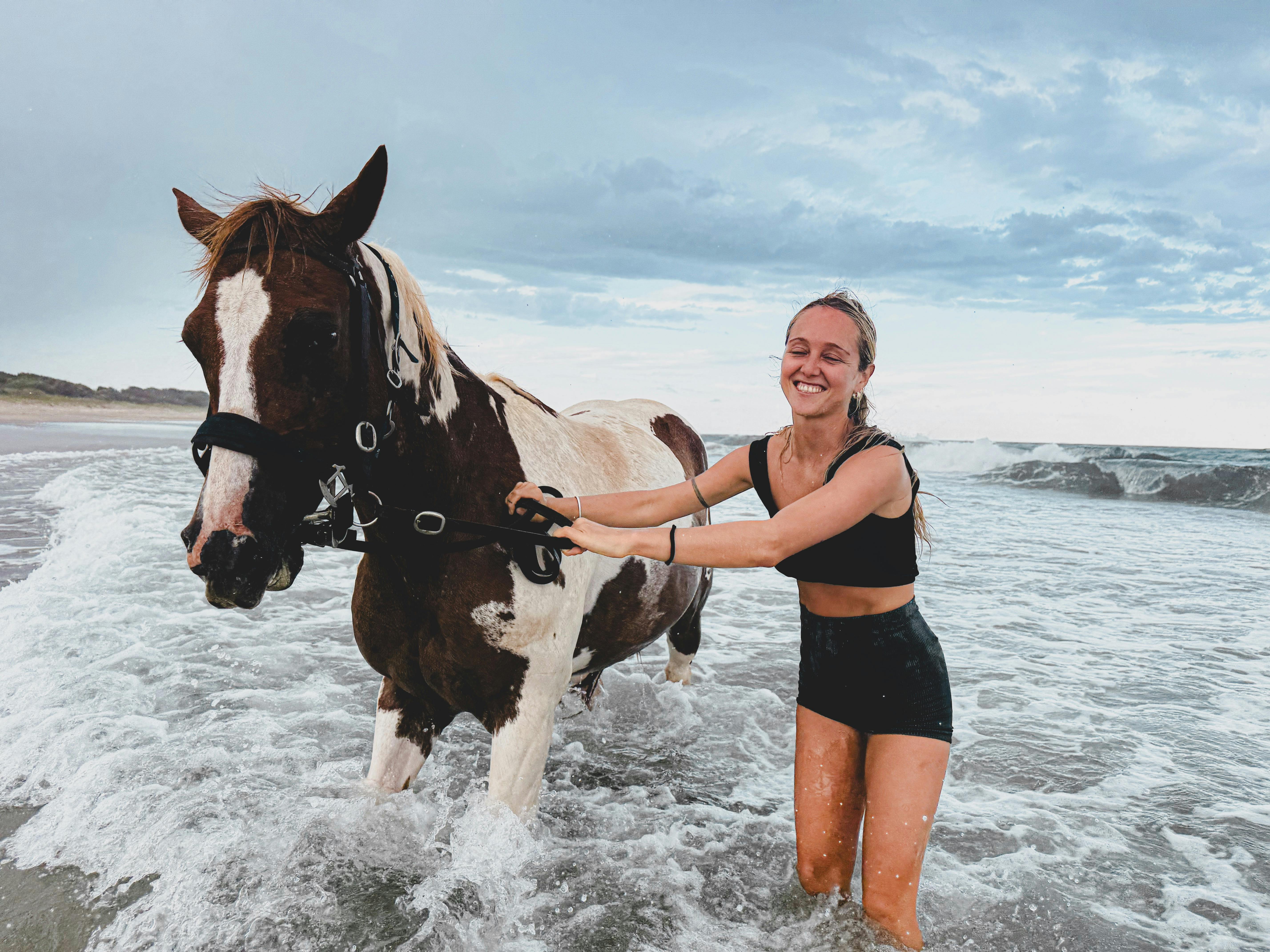 Coastal beach Rides horseback ride along Seven Mile Beach