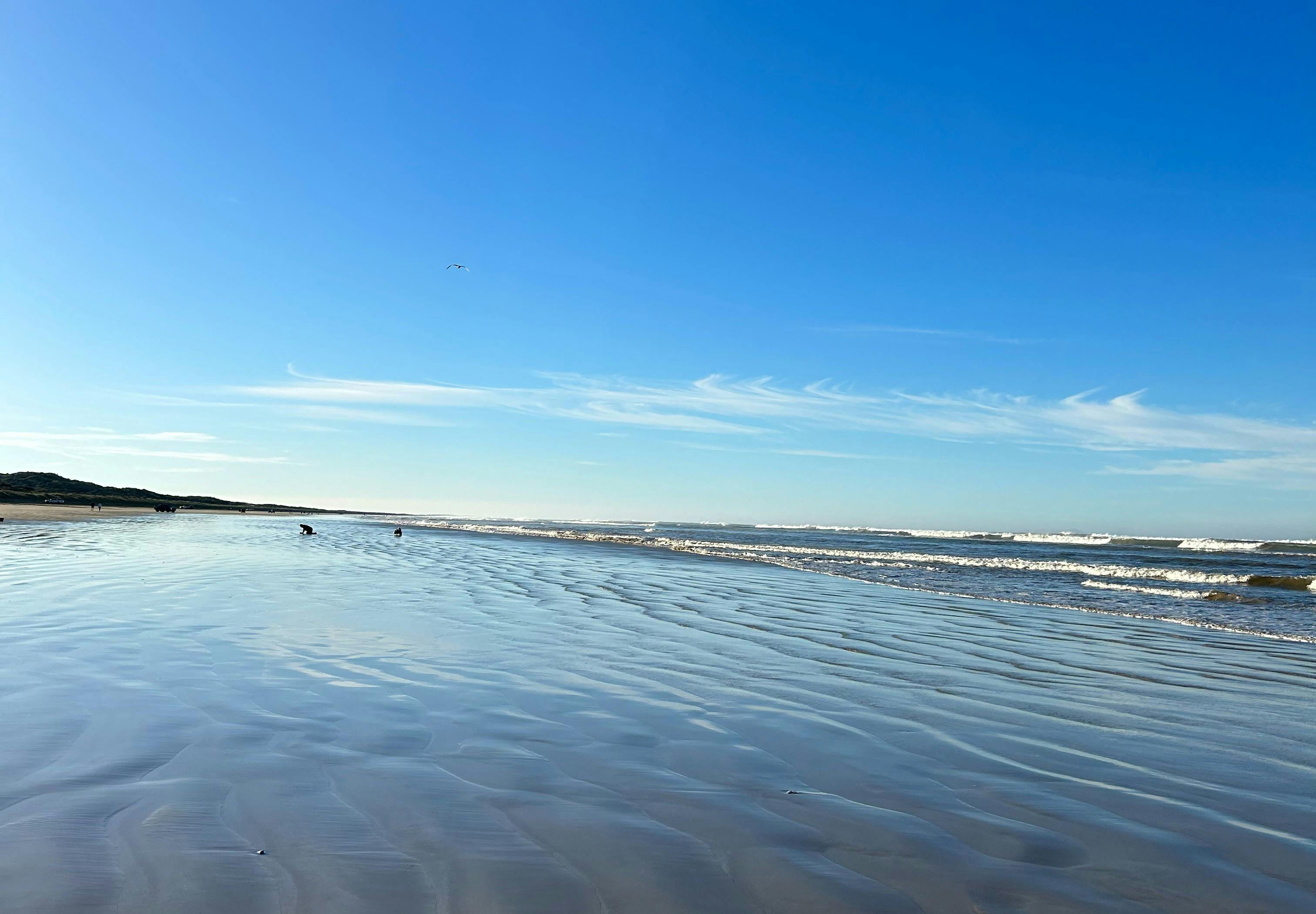 The rhythmic lullaby of rolling waves meets the golden sands in perfect harmony