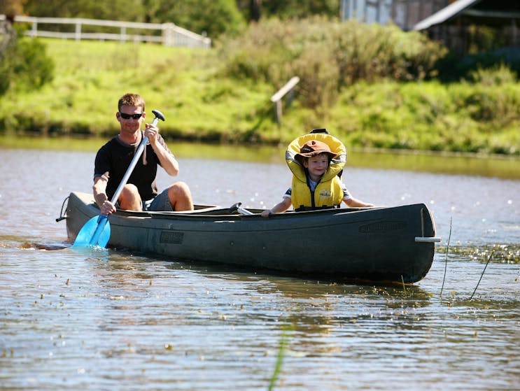 Crocodile Creek - Mowbray Park farm