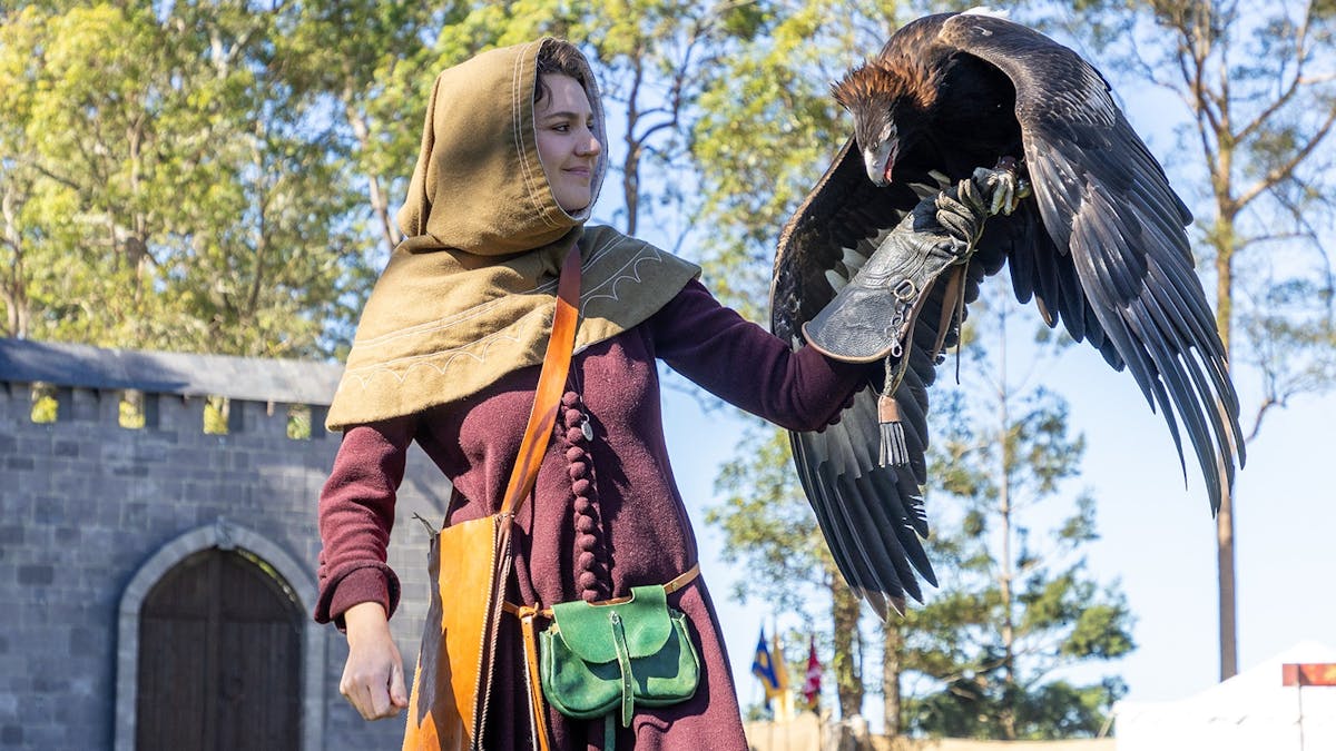 Falconer with Des the Wedge Tailed Eagle
