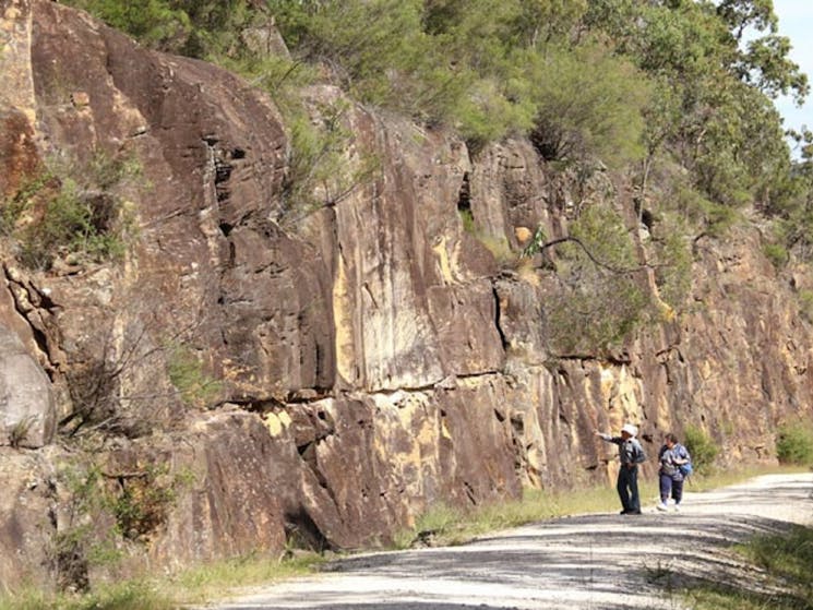 Devines Hill Loop