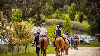 Mountain Trails Adventure School
