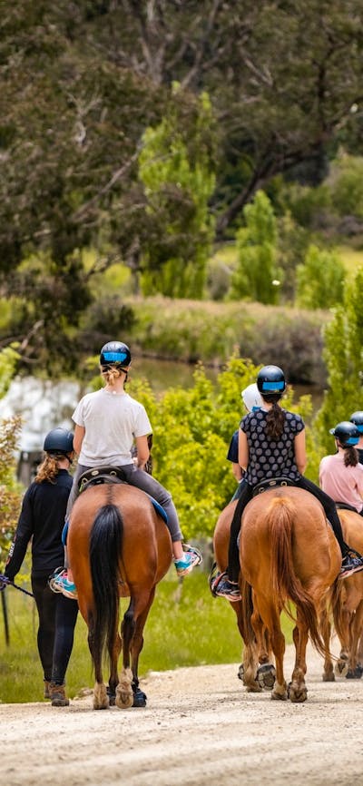 Mountain Trails Adventure School