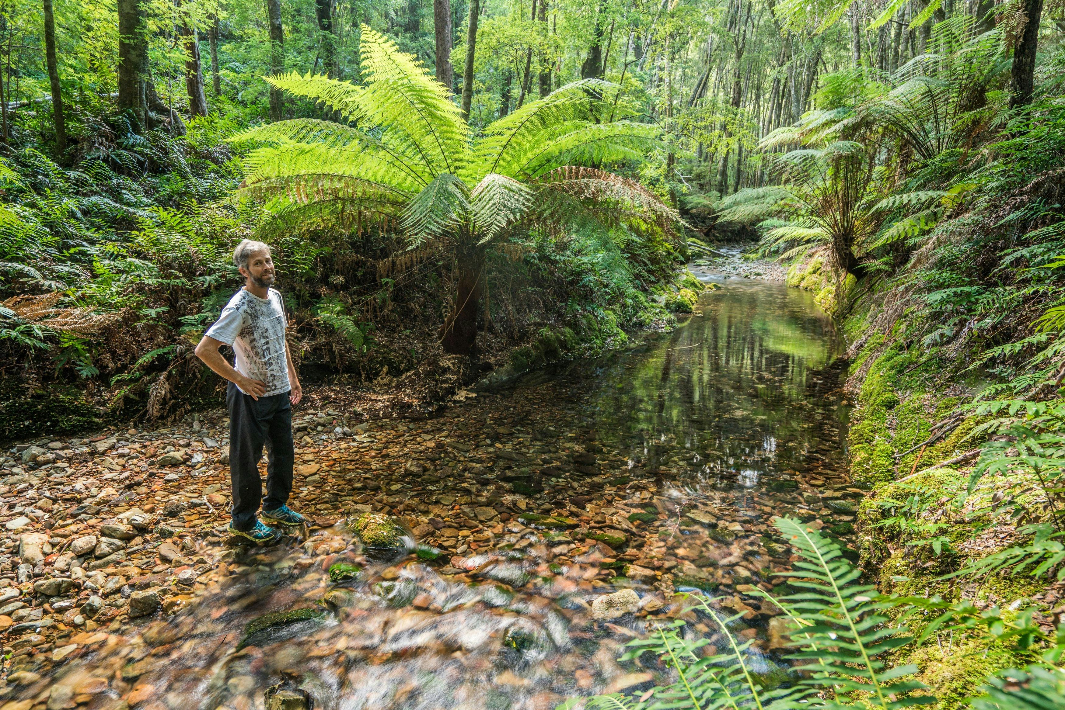 Time to be immersed with a mountain stream on Far South Coast of NSW.