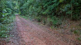 Cascade mountain bike trail