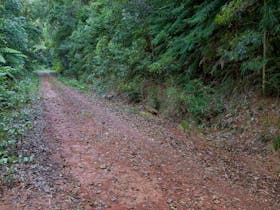 Cascade mountain bike trail