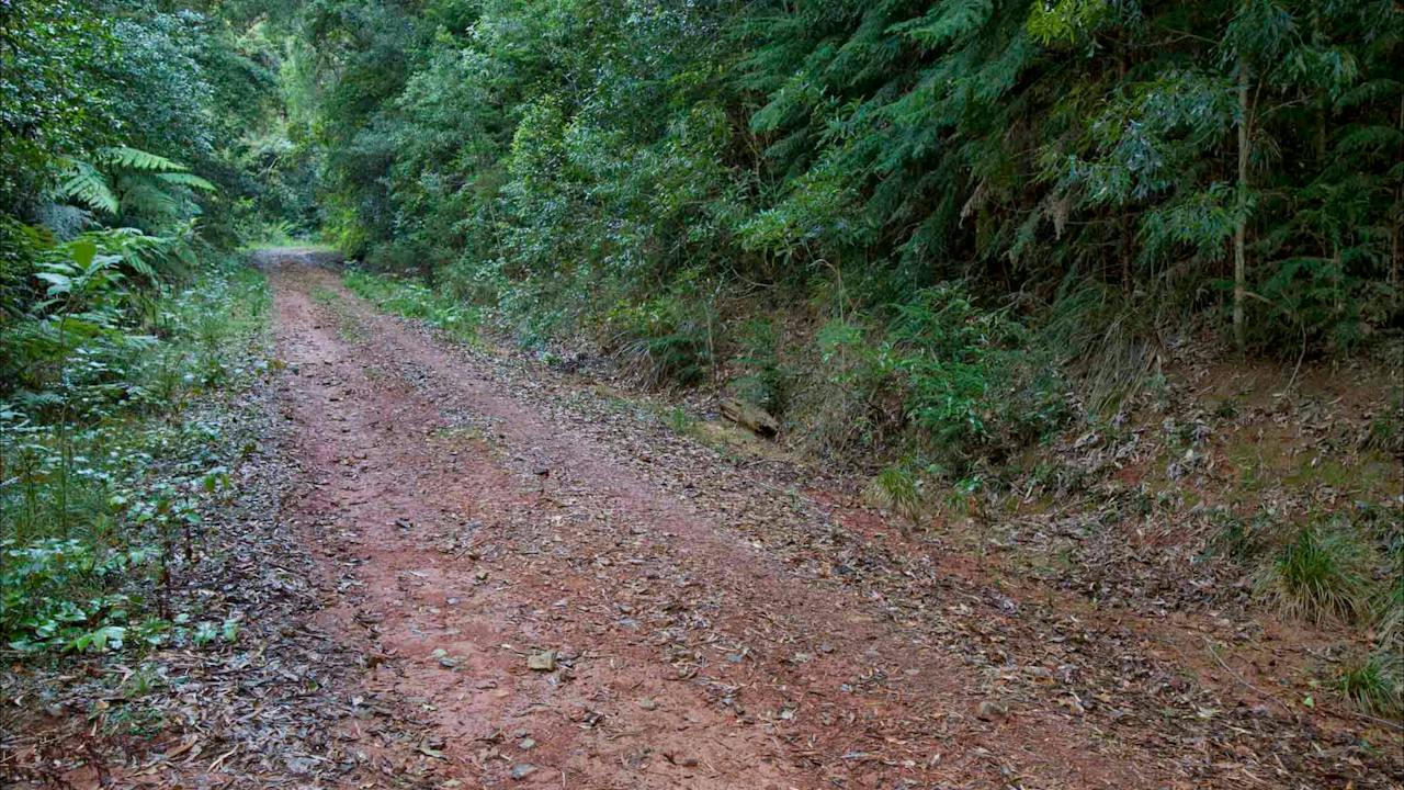 Cascade mountain bike trail