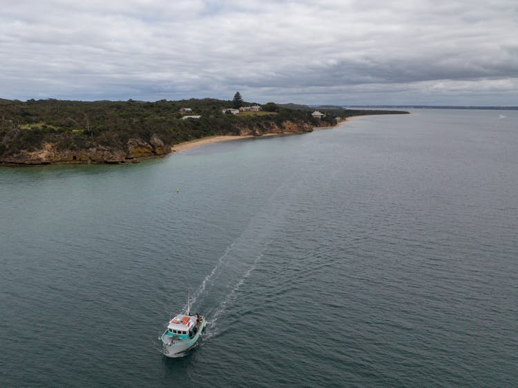 Education school tours experiences in nature port phillip bay